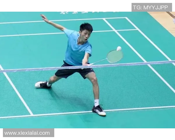 羽毛球耐力排行榜揭晓北京羽毛球队荣获第七名成绩引关注