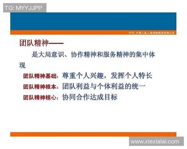聚焦上海篮球队的意识提升与团队协作探讨 聚焦上海篮球队的意识提升与团队协作探讨