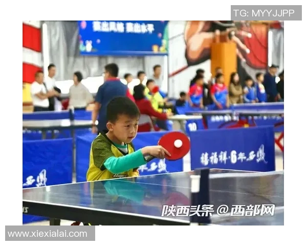 西安乒乓球队比赛经验分析与表现评估的深度研究 西安乒乓球队比赛经验分析与表现评估的深度研究