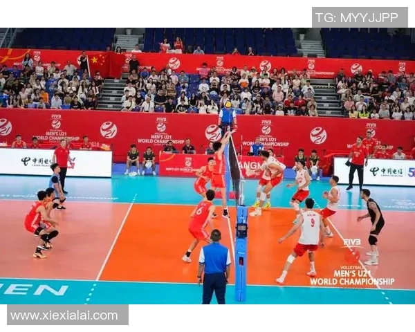 西安排球队实力揭秘：排球巨献背后的故事与挑战