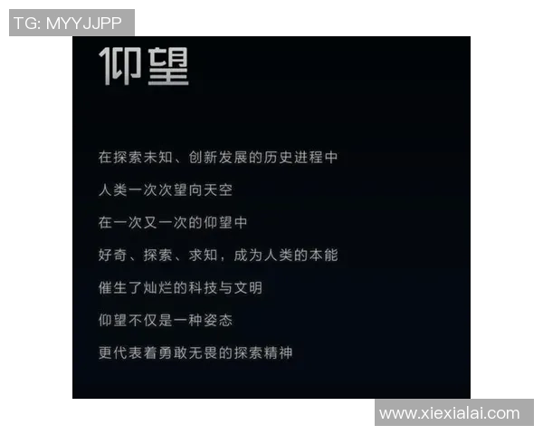 西安乒乓球队的节奏揭秘与训练背后的故事与精神探索