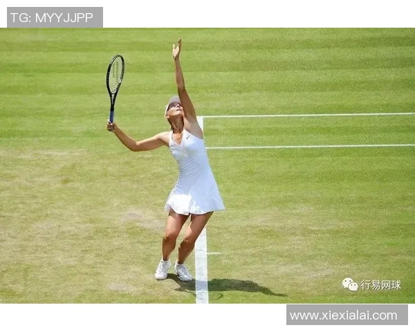 西安网球队的整体压制策略与技术分析深度探讨 西安网球队的整体压制策略与技术分析深度探讨